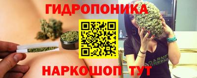 марихуана Краснознаменск