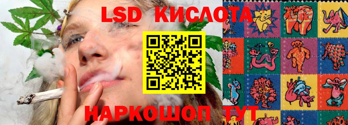  COCAIN Канаш