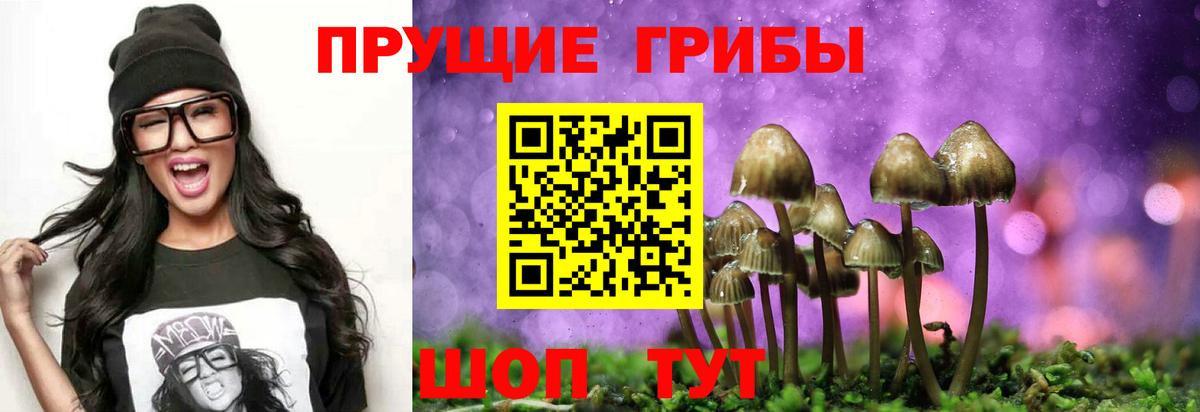 Псилоцибиновые грибы мицелий  Вход с VPN  Галлюциногенные грибы мицелий  Канаш 